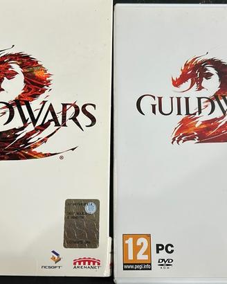Gioco GUILD WARS 2 per pc