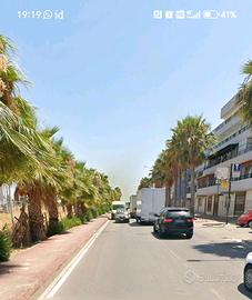 Margherita di Savoia fronte mare e strada