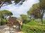 Immagine 7