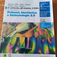 il carbonio gli enzimi il dna
