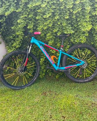 Mtb orbea taglia s
