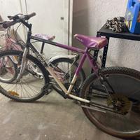 BICICLETTA BEN TENUTA