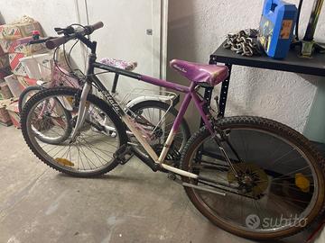 BICICLETTA BEN TENUTA