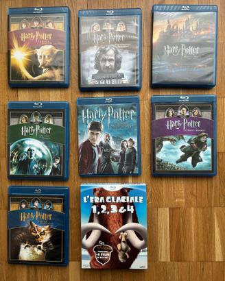 Lotto films blu-ray
