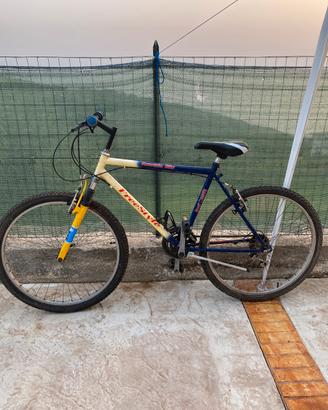 Bicicletta