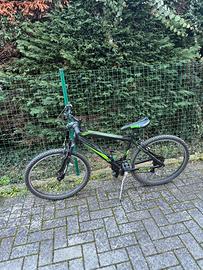 Mountain Bike Ragazzo SMP Spark