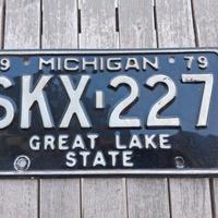 Targa auto US Stato del Michigan del 1979
