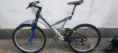 cannondale V 2000