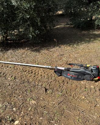 Abbacchiatore scuotitore olive cifarelli