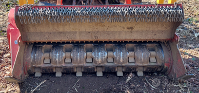 Rotore per trincia forestale