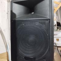 COPPIA CASSE PASSIVE cono 15"