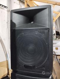 COPPIA CASSE PASSIVE cono 15"