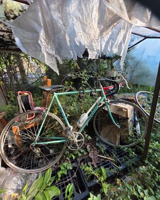 bianchi vintage