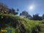 Immagine 20