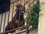 Immagine 5