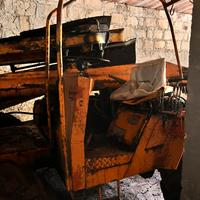 Scuotitore per olive omitalia