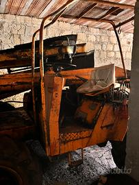 Scuotitore per olive omitalia