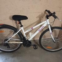Bicicletta bambina 9/12 anni 
