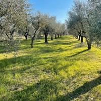 Zona tranquilla e relax ad empoli