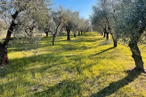 Zona tranquilla e relax ad empoli