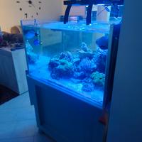 acquario mobile sump
