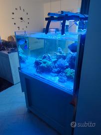 acquario mobile sump