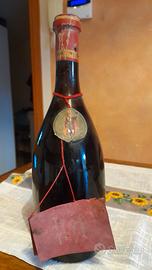Raboso vendemmia 67