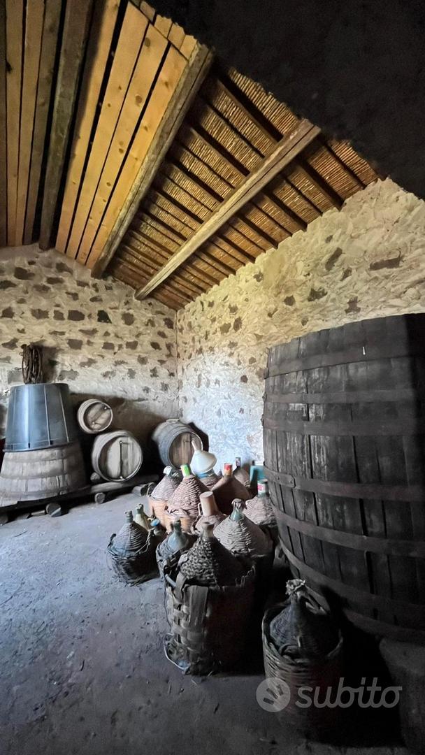 Tenuta Sarda Autentica con Potenziale di Sviluppo - Vista 3