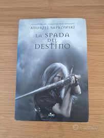 The Witcher - La spada del destino 