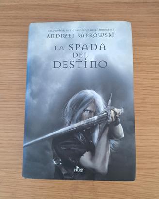 The Witcher - La spada del destino 