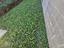 Immagine 11