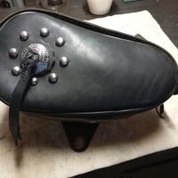 Harley Davidson Evolution 