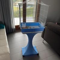 Gabbia per pappagalli