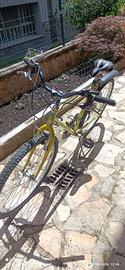 bicicletta MTB