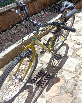 bicicletta MTB