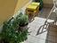Immagine 6