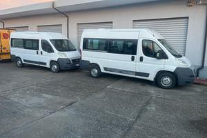 Fiat ducato 9 posti