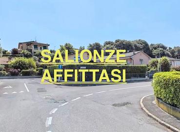 SALIONZE-QUADRILOCALE