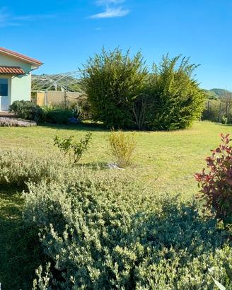 Fabbricato rurale / casale con terreno