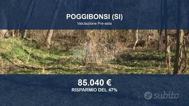 Immobile in asta di 18050 m² a Poggibonsi