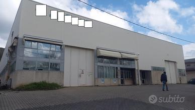 A Roteglia capannone artigianale