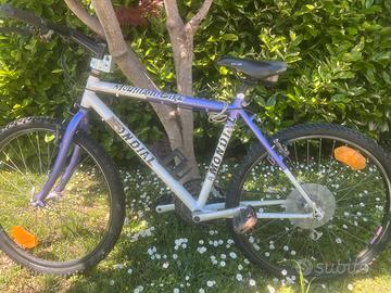 Bici mountain bike mondial