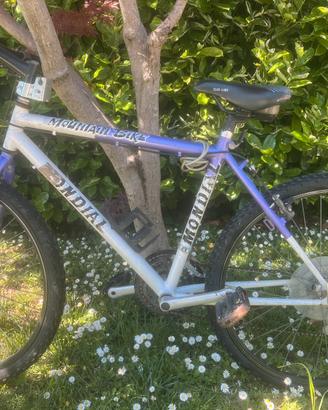 Bici mountain bike mondial