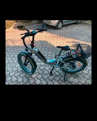 bici elettrica 