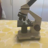 microscopio