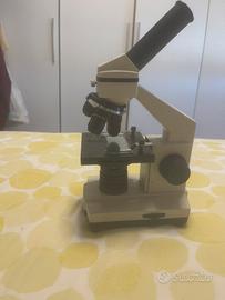 microscopio