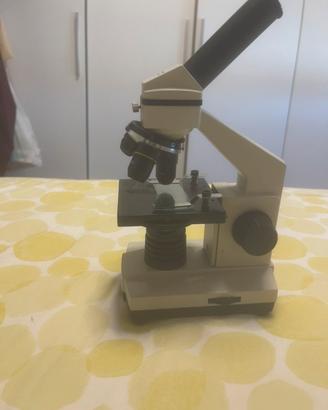 microscopio