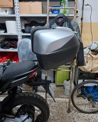 valigie Moto Guzzi Stelvio 