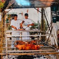 griglia cuoci maialino motorizzata