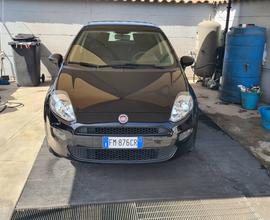 Fiat Punto 1.2 8V 5 porte Street